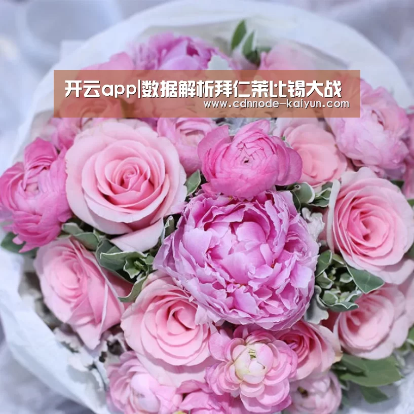 开云app|数据解析拜仁莱比锡大战(图3) 开元棋牌网址