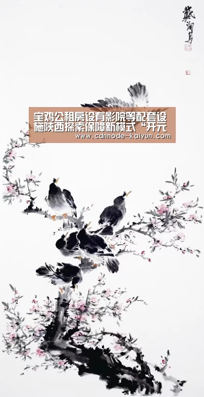 宝鸡公租房设有影院等配套设施陕西探索保障新模式“开元”(图2) 开元棋牌网址