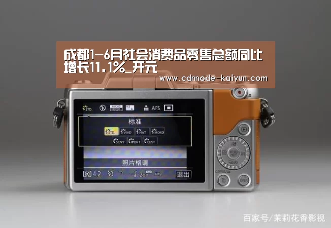 成都1-6月社会消费品零售总额同比增长11.1%_开元(图1) 开元