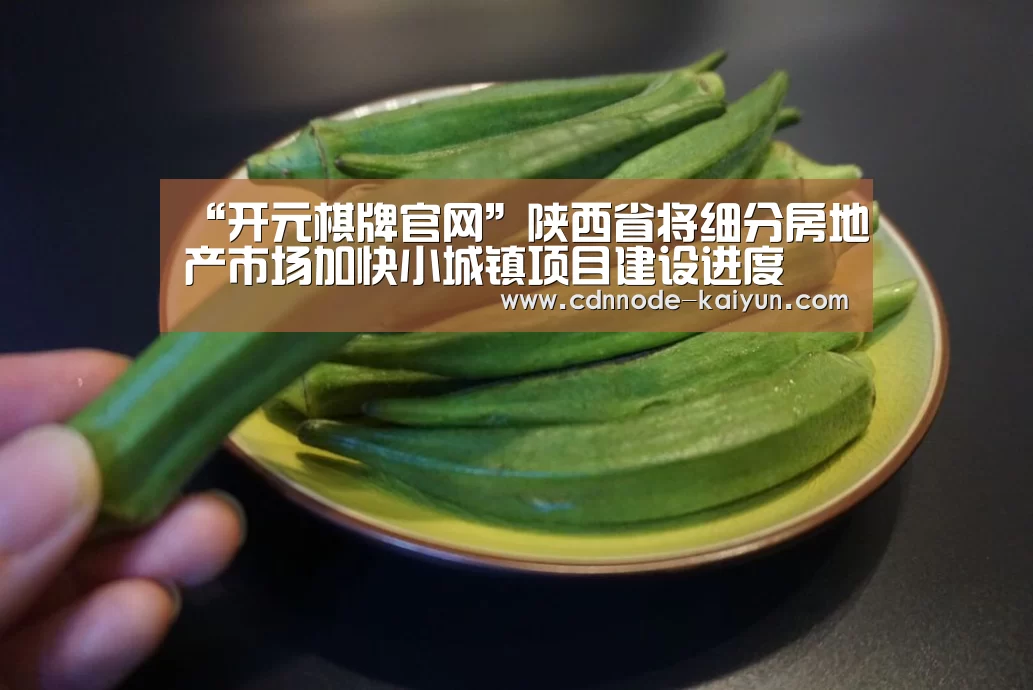 “开元棋牌官网”陕西省将细分房地产市场加快小城镇项目建设进度(图3) 开云app