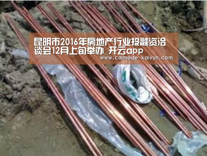 昆明市2016年房地产行业投融资洽谈会12月上旬举办_开云app(图2) 开元棋牌网址