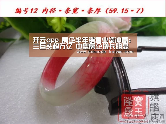 开云app_房企半年销售业绩冲高:三巨头超万亿 中型房企增长明显(图1) 开元